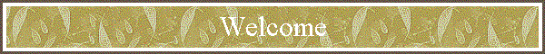 Welcome