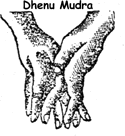 dhenu.gif (5775 bytes)