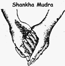 shankha.gif (4922 bytes)